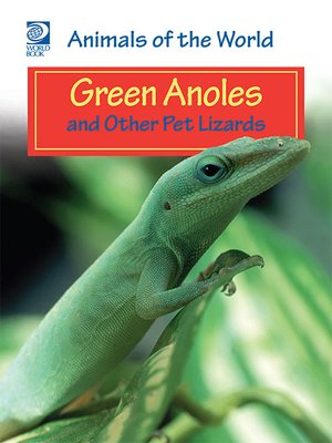 cover image of Green Anoles and Other Pet Lizards